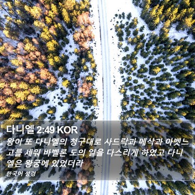 다니엘 2:49 KOR Bible Verse Image