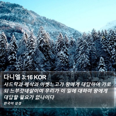 다니엘 3:16 KOR Bible Verse Image
