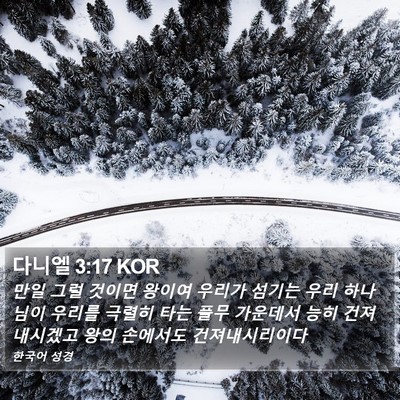 다니엘 3:17 KOR Bible Verse Image
