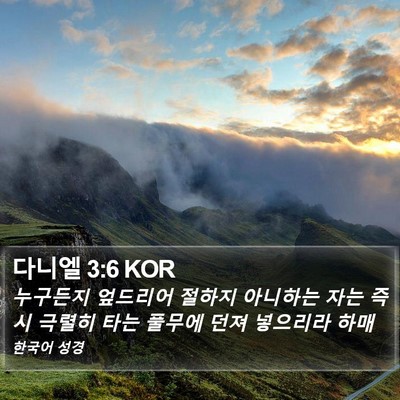 다니엘 3:6 KOR Bible Verse Image