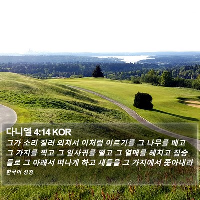 다니엘 4:14 KOR Bible Verse Image