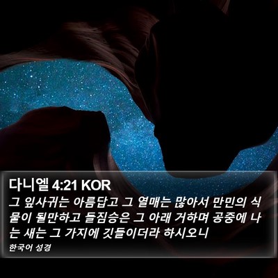 다니엘 4:21 KOR Bible Verse Image
