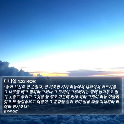 다니엘 4:23 KOR Bible Verse Image