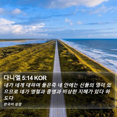 다니엘 5:14 KOR Bible Verse Image