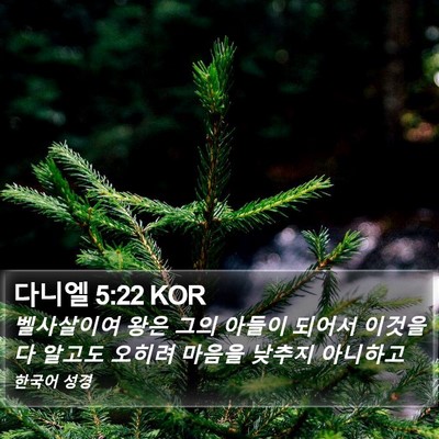 다니엘 5:22 KOR Bible Verse Image