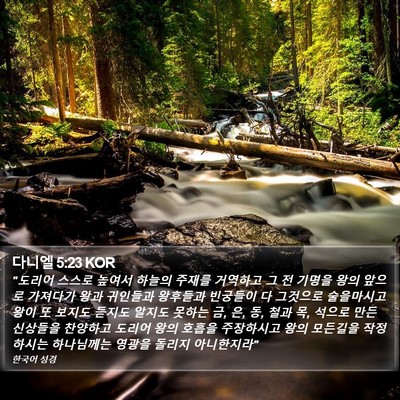 다니엘 5:23 KOR Bible Verse Image