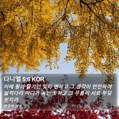 다니엘 5:6 KOR Bible Verse Image
