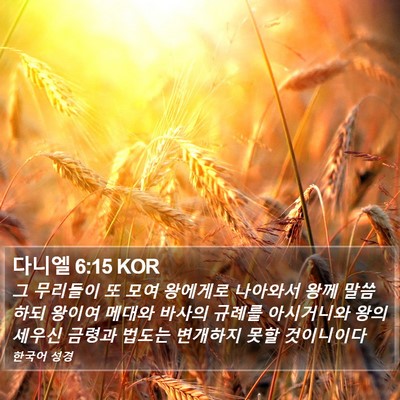 다니엘 6:15 KOR Bible Verse Image