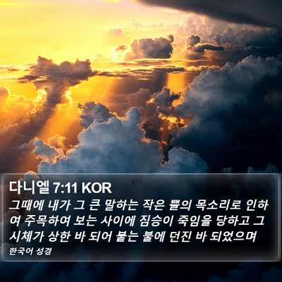 다니엘 7:11 KOR Bible Verse Image