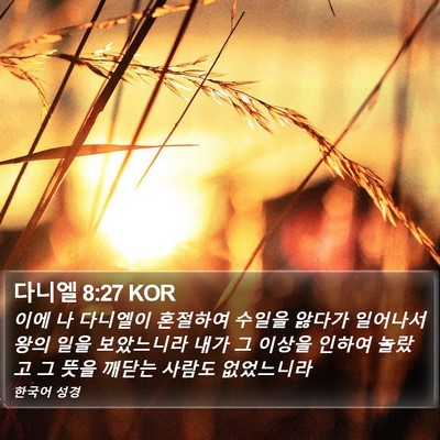 다니엘 8:27 KOR Bible Verse Image