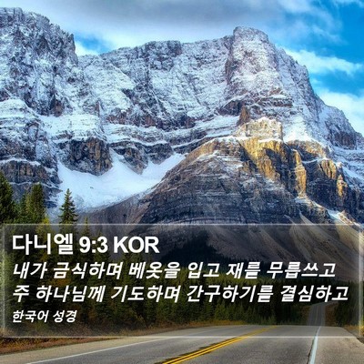 다니엘 9:3 KOR Bible Verse Image