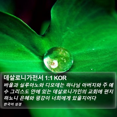 데살로니가전서 1:1 KOR Bible Verse Image