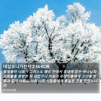데살로니가전서 2:14 KOR Bible Verse Image