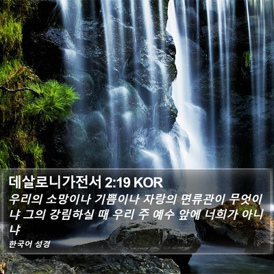 데살로니가전서 2:19 KOR Bible Verse Image
