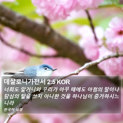 데살로니가전서 2:5 KOR Bible Verse Image