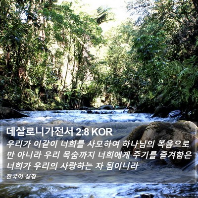 데살로니가전서 2:8 KOR Bible Verse Image