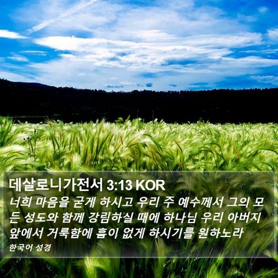 데살로니가전서 3:13 KOR Bible Verse Image
