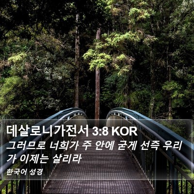 데살로니가전서 3:8 KOR Bible Verse Image