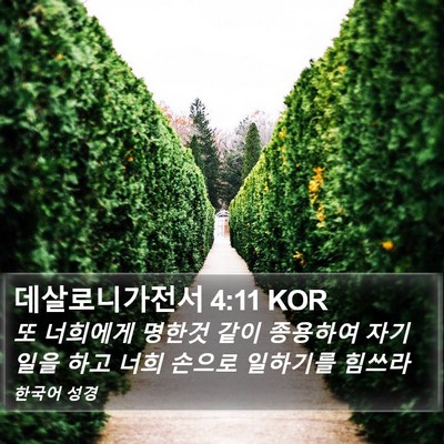 데살로니가전서 4:11 KOR Bible Verse Image
