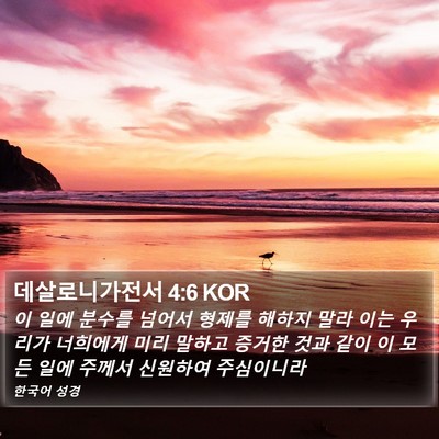 데살로니가전서 4:6 KOR Bible Verse Image
