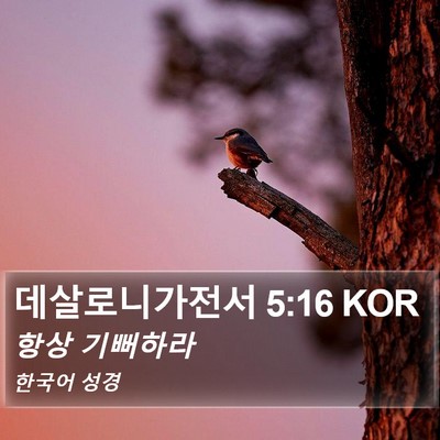 데살로니가전서 5:16 KOR Bible Verse Image