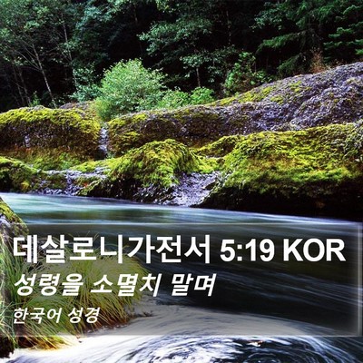 데살로니가전서 5:19 KOR Bible Verse Image