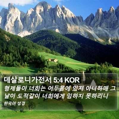 데살로니가전서 5:4 KOR Bible Verse Image