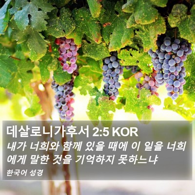 데살로니가후서 2:5 KOR Bible Verse Image