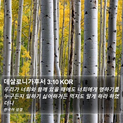 데살로니가후서 3:10 KOR Bible Verse Image
