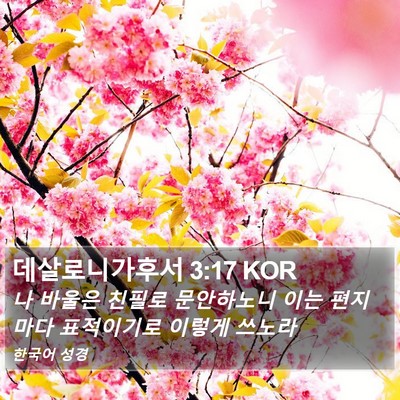 데살로니가후서 3:17 KOR Bible Verse Image