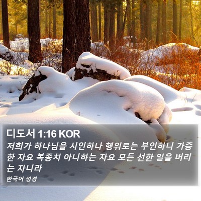 디도서 1:16 KOR Bible Verse Image