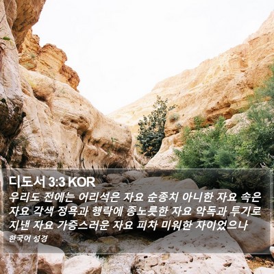 디도서 3:3 KOR Bible Verse Image
