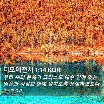 디모데전서 1:14 KOR Bible Verse Image