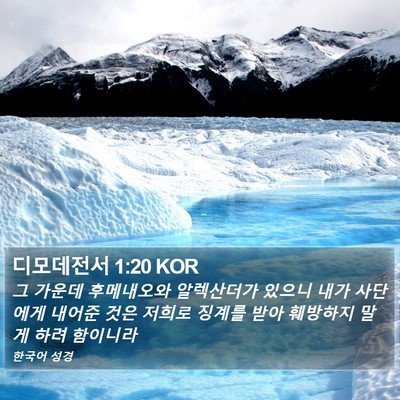 디모데전서 1:20 KOR Bible Verse Image