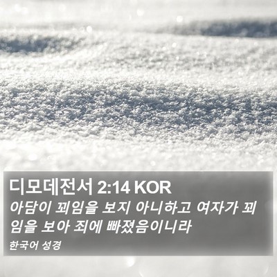 디모데전서 2:14 KOR Bible Verse Image