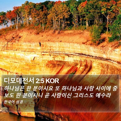 디모데전서 2:5 KOR Bible Verse Image