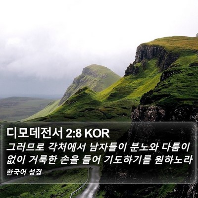 디모데전서 2:8 KOR Bible Verse Image