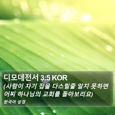 디모데전서 3:5 KOR Bible Verse Image