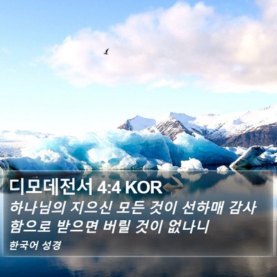 디모데전서 4:4 KOR Bible Verse Image