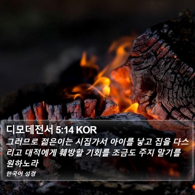 디모데전서 5:14 KOR Bible Verse Image