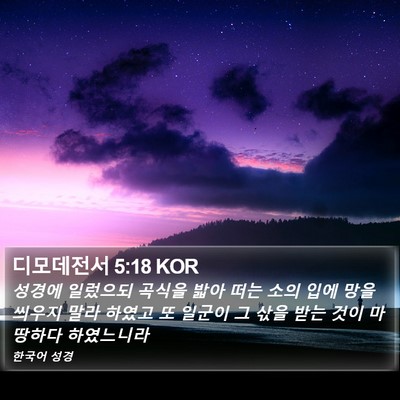 디모데전서 5:18 KOR Bible Verse Image