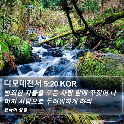 디모데전서 5:20 KOR Bible Verse Image