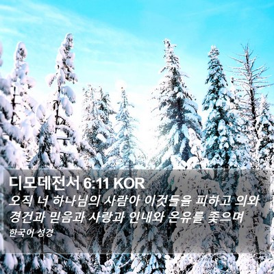 디모데전서 6:11 KOR Bible Verse Image