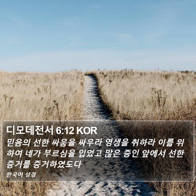 디모데전서 6:12 KOR Bible Verse Image