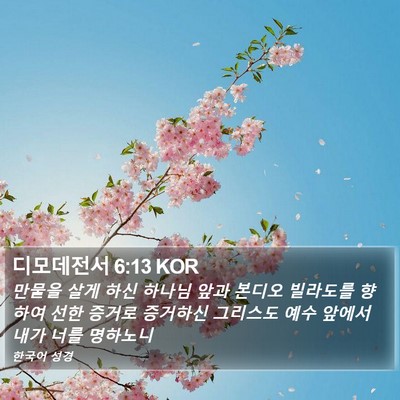 디모데전서 6:13 KOR Bible Verse Image