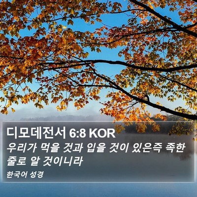 디모데전서 6:8 KOR Bible Verse Image