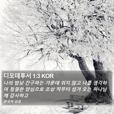 디모데후서 1:3 KOR Bible Verse Image