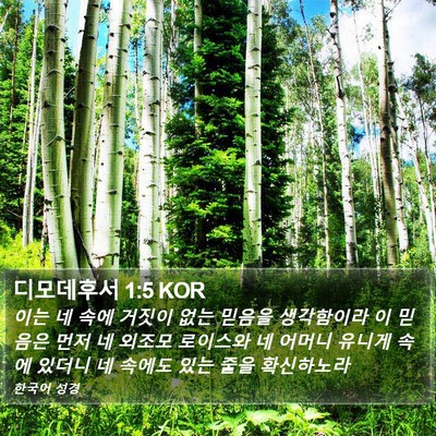 디모데후서 1:5 KOR Bible Verse Image