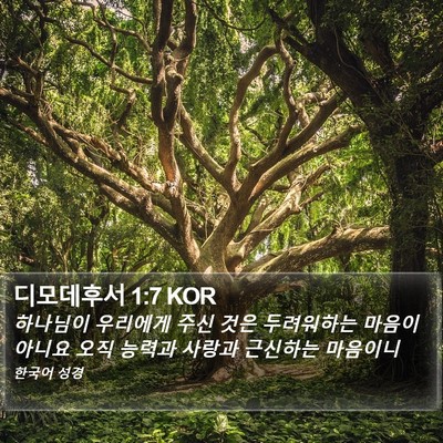 디모데후서 1:7 KOR Bible Verse Image