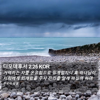 디모데후서 2:25 KOR Bible Verse Image